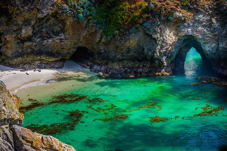 Point Lobos, Highway 1