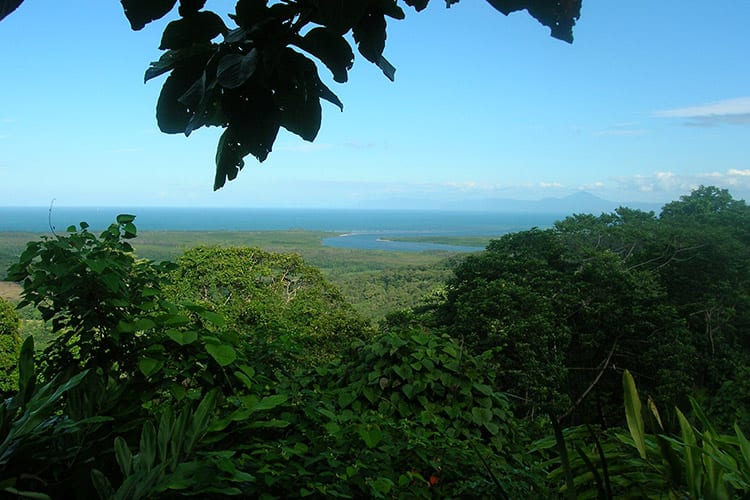 Cape Tribulation, Australië