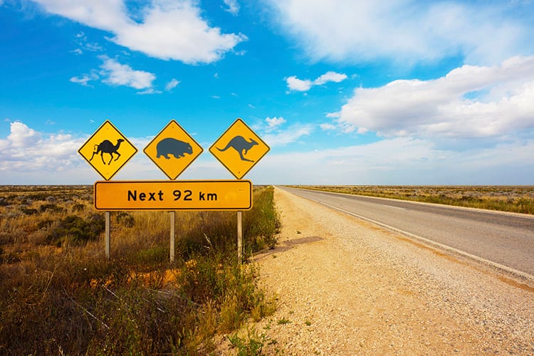 Nullarbor Plain, Australië