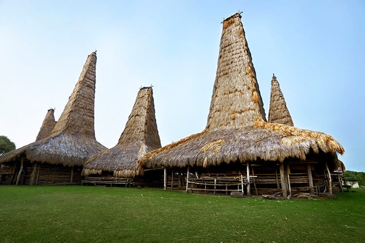 Traditionele hutten op Sumba