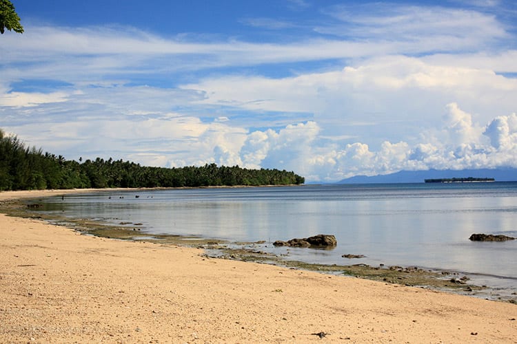 Morotai