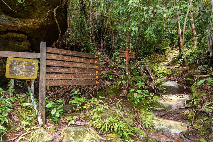 Wandelroutes in het Bako National Park