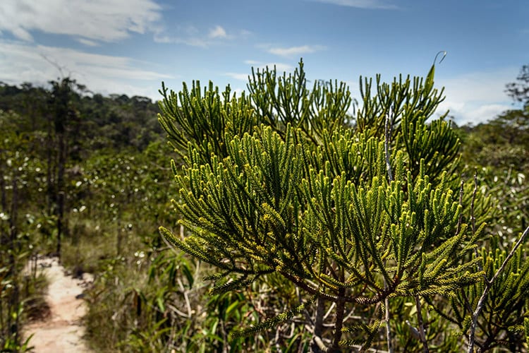 Bako National Park