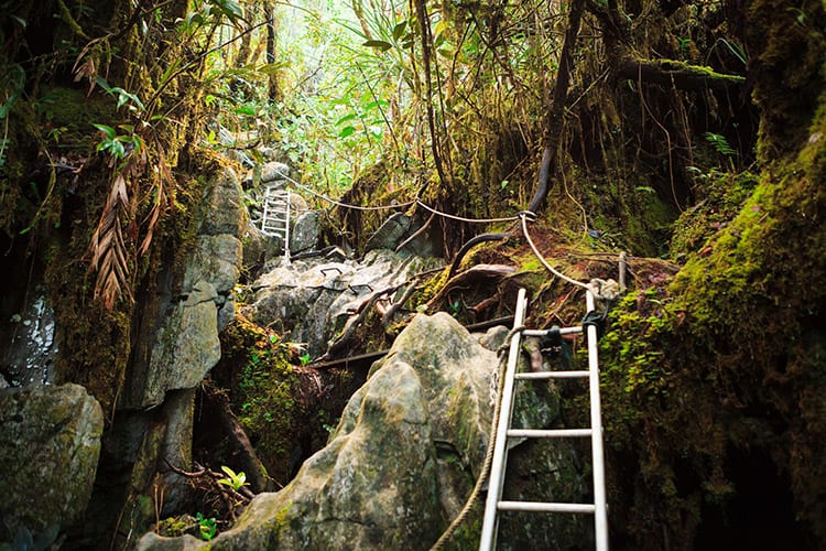 Hiken in het Gunung Mulu National Park