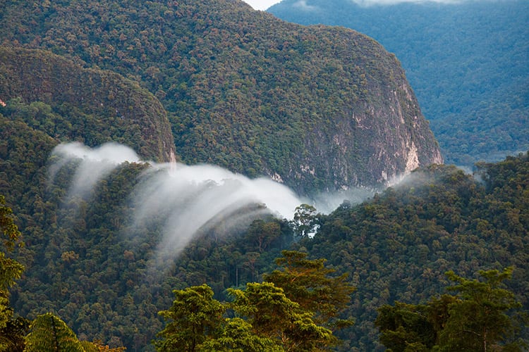 Gunung Mulu National Park