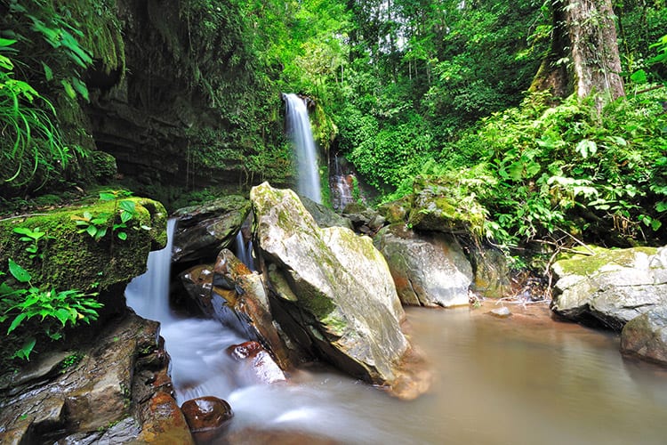 Mahua waterval, Kinaba;u NP