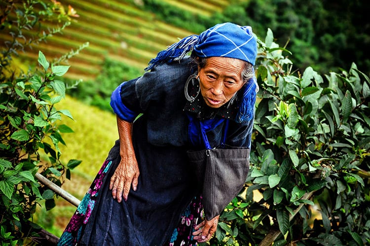 Mu Cang Chai H'mong