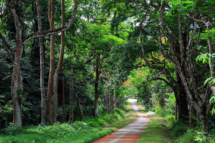 Cuc Phuong National Park, Ninh Binh