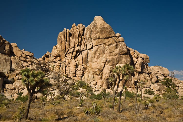 Hidden Valley, Joshua Tree National Park