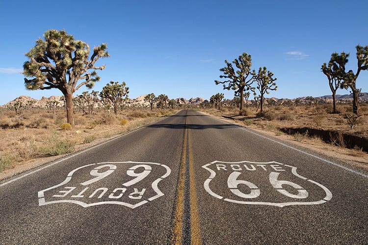 Route 66 in Joshua Tree National Park