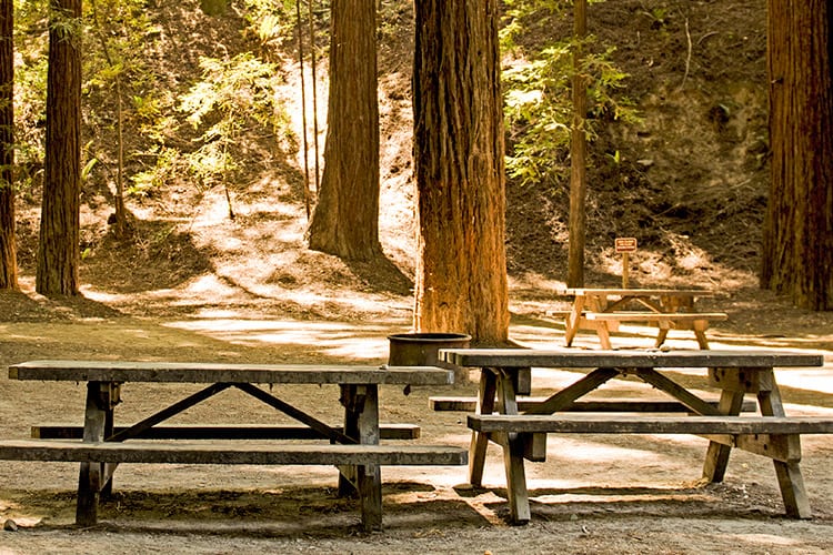 Giant Forest Area, Sequoia National Park
