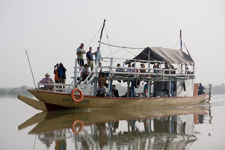Gambia Rivier boottocht