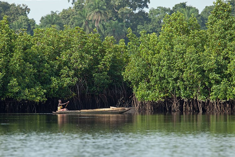 Gambia Rivier