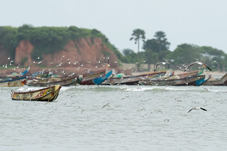 Gambia Rivier