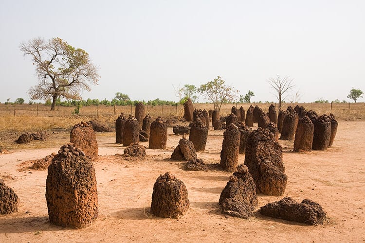 Wassu Stone Circles, Gambia