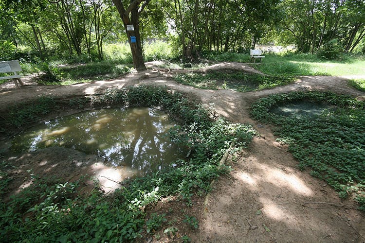 Killing Fields