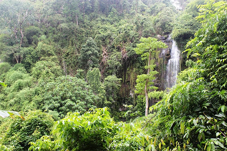 Kirirom National Park