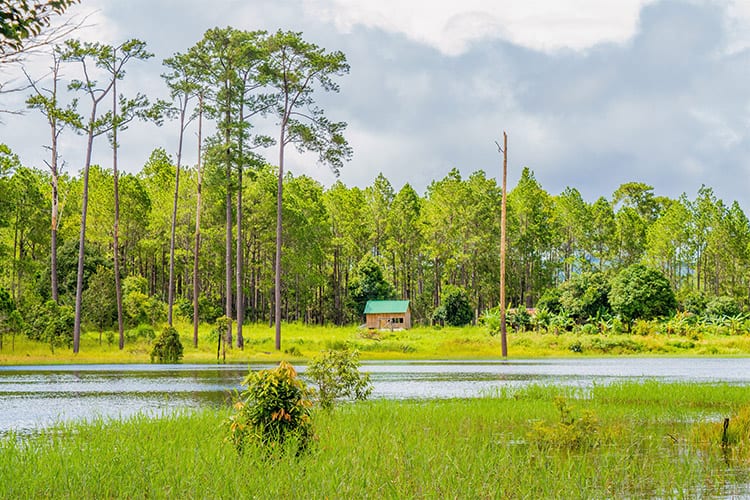 Kirirom National Park