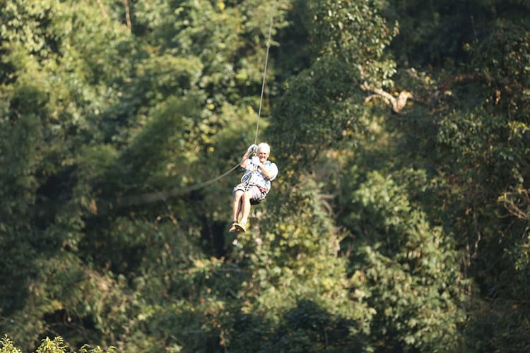 Gibbon Experience