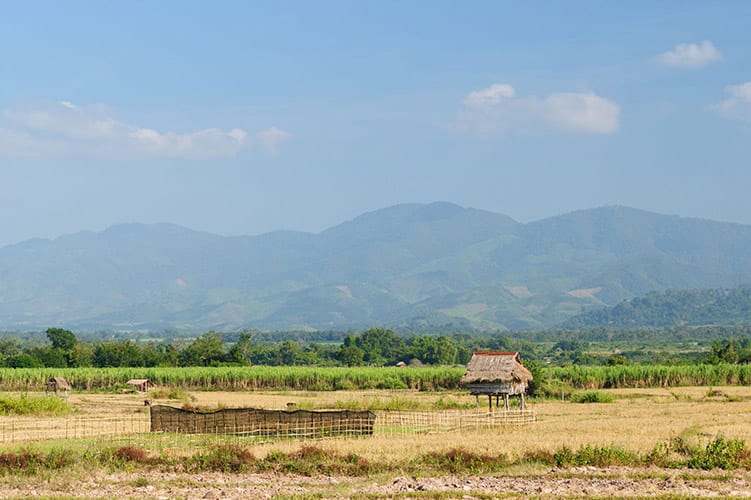 Muang Sing