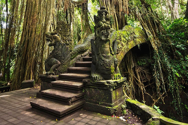 Monkey Forest, Ubud