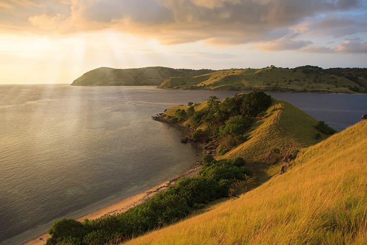 Seraya eiland, Flores