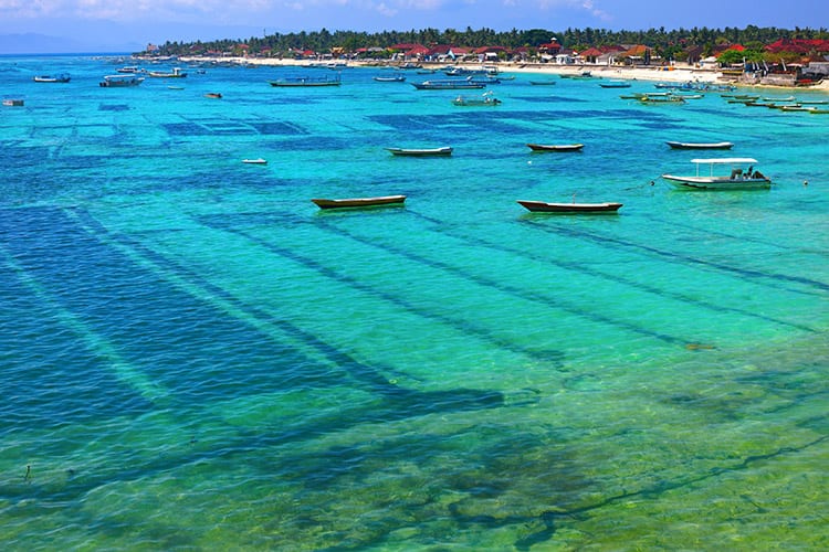 Zeewierkwekerij, Nusa Lembongan
