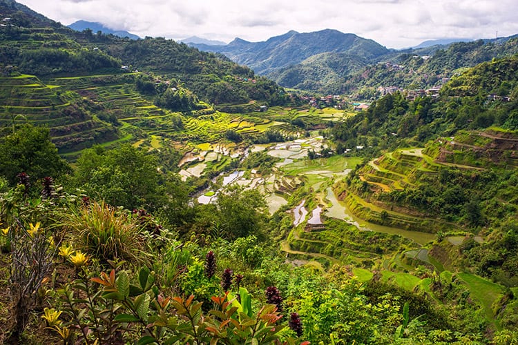 Banaue
