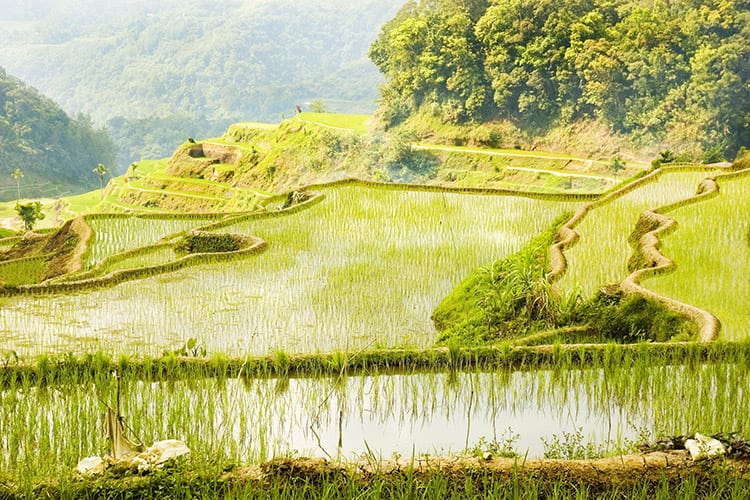 Banaue, Filipijnen