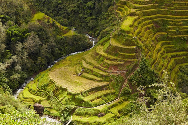 Banaue