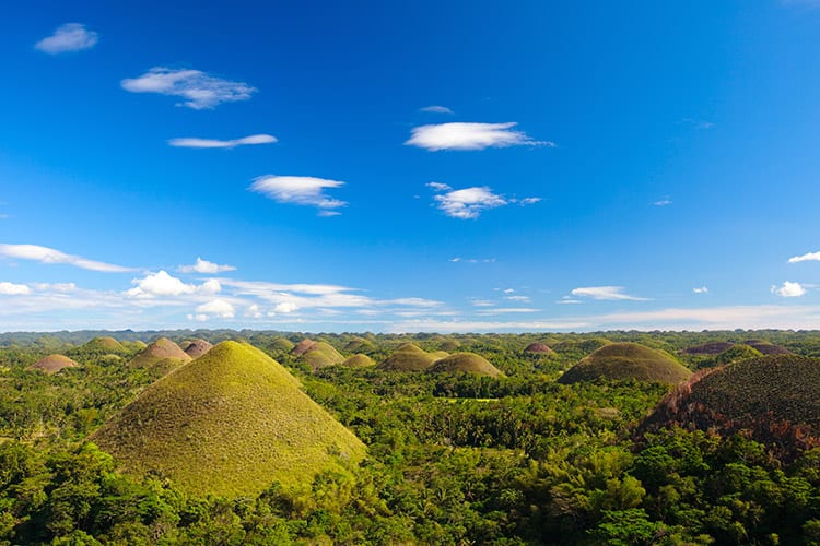 Bohol