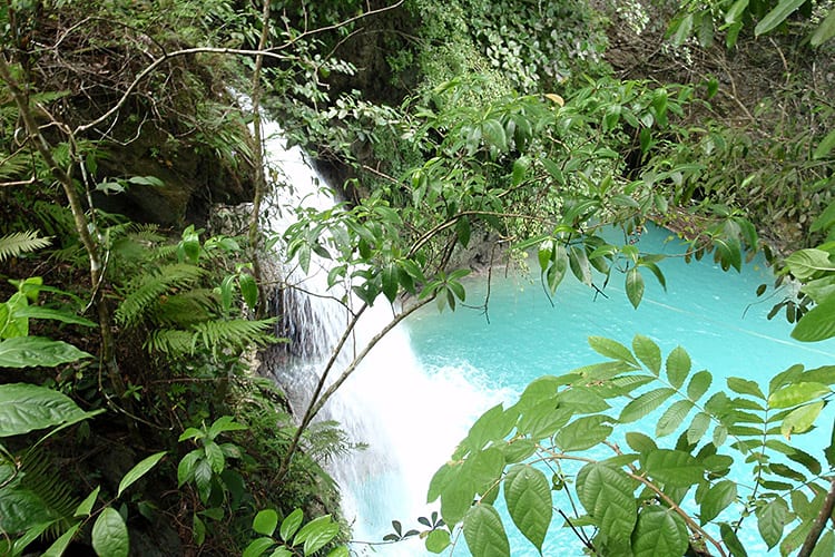 Kawasan Falls, Cebu