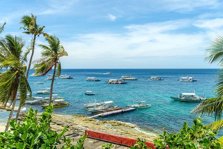 Apo Island, Negros
