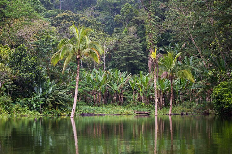 Balinsasayao Twin Lakes, Negros