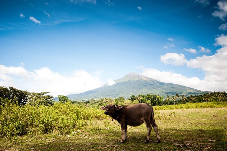 Mount Kanlaon, Negros