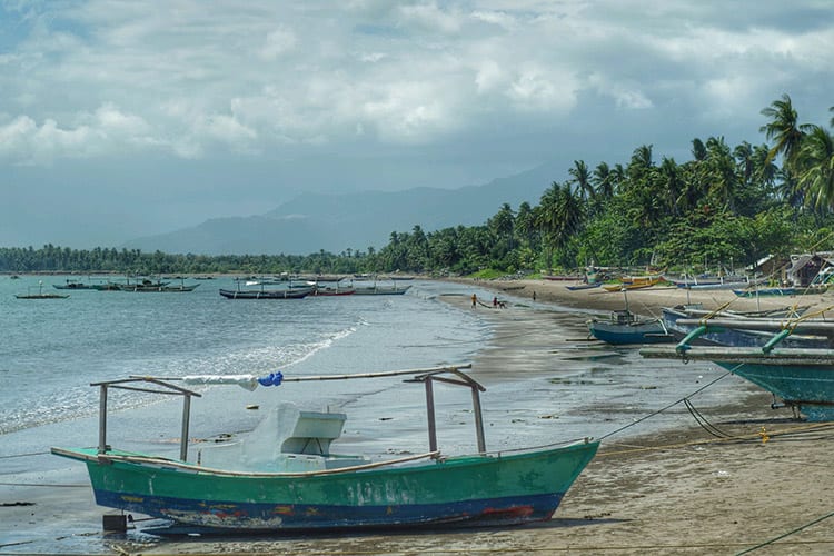 Narra, Palawan