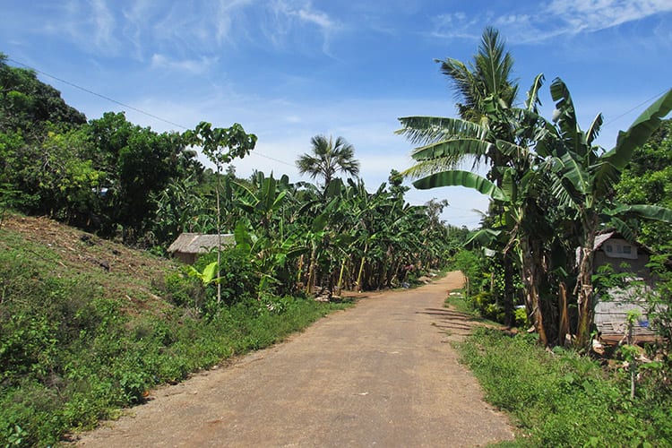De binnenlanden van Siquijor
