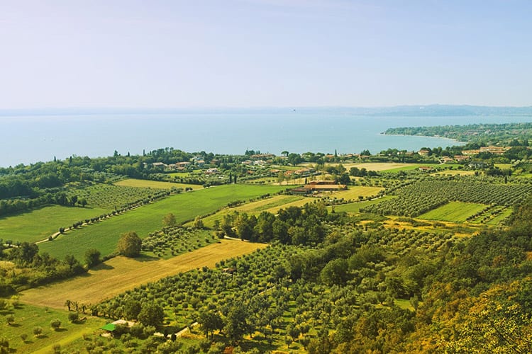 Franciacorta wijngaarden, Iseomeer