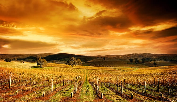 Barossa Valley, Adelaide