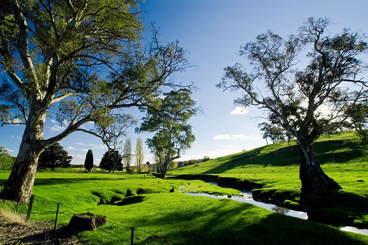 Adelaide Hills