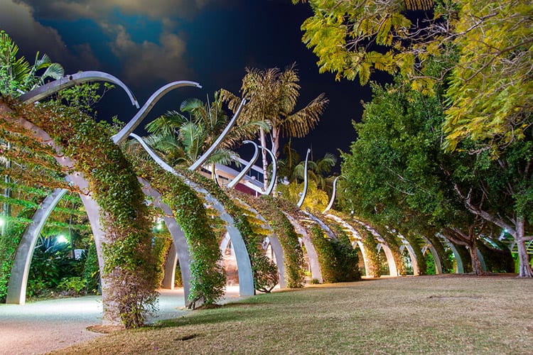Mangrove Boardwalk, Brisbane