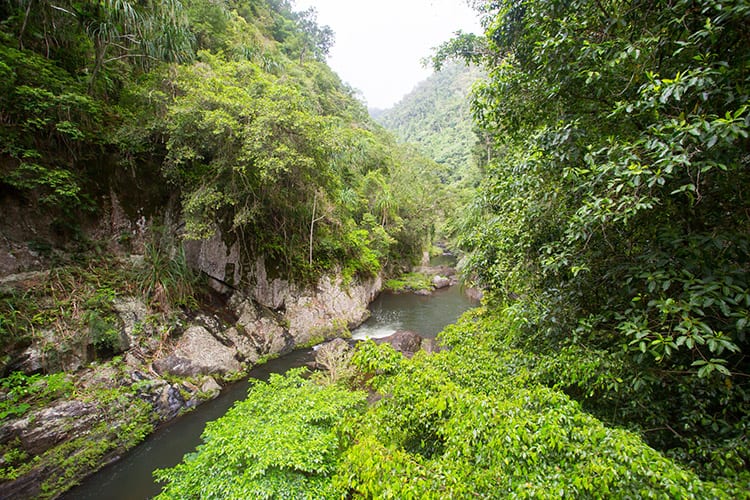 Crystal Cascades, Cairns
