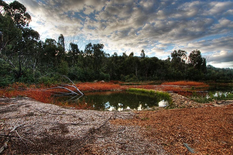 Tidbinbilla natuurreservaat, Canberra