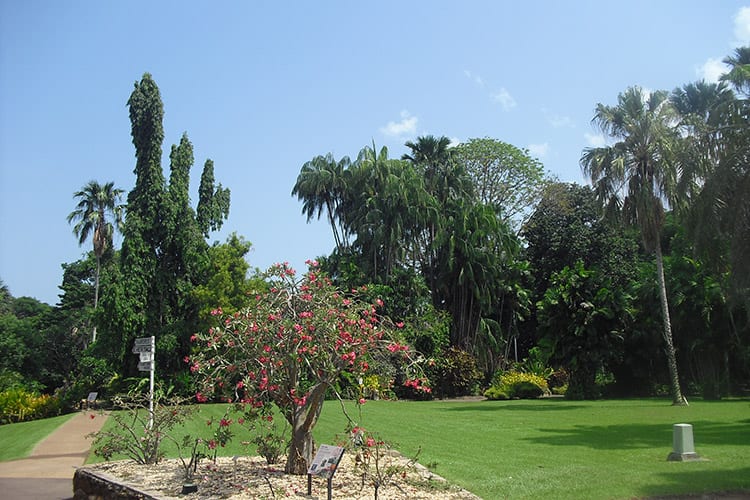 Botanic Gardens in Darwin