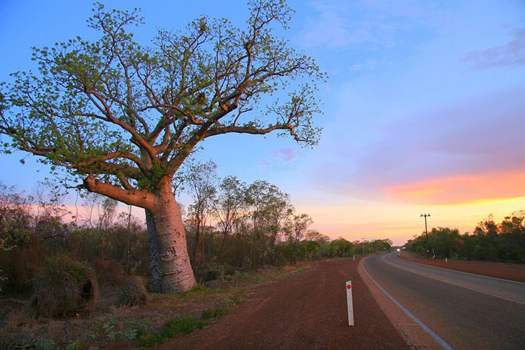 reat Northern Highway, Australië