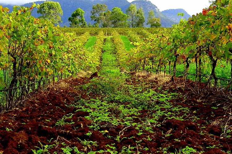 Hunter Valley