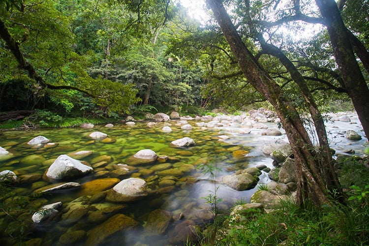 Mossman Gorge