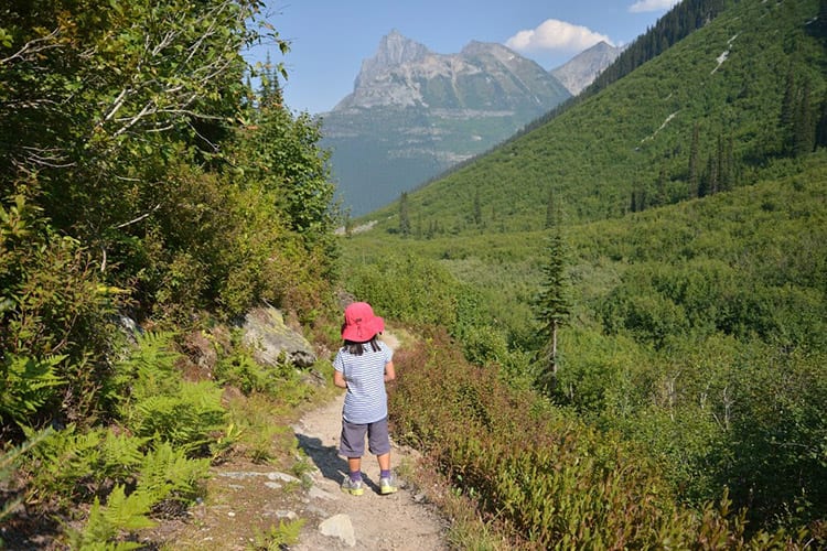 Balu Pass Trail, Glacier National Park