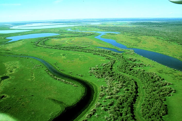 Athabasca Delta, Wood Buffalo National Park