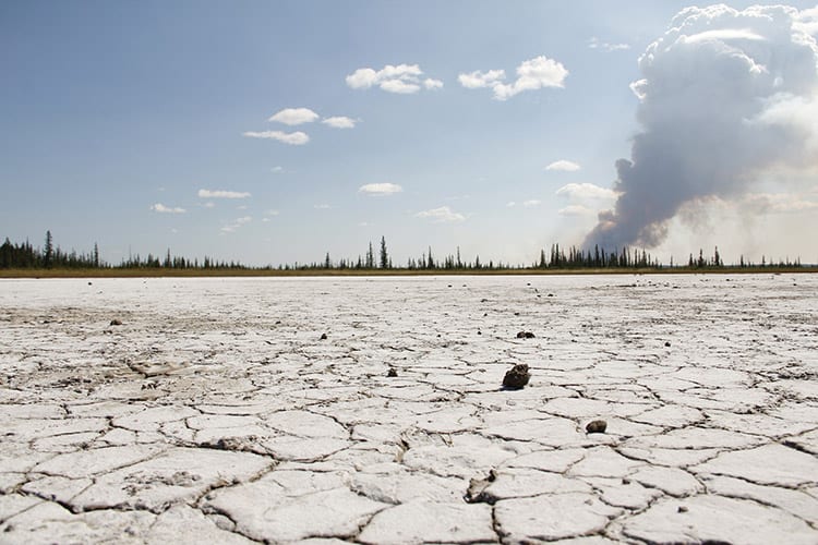 Salt Plains in het Wood Buffalo National Park